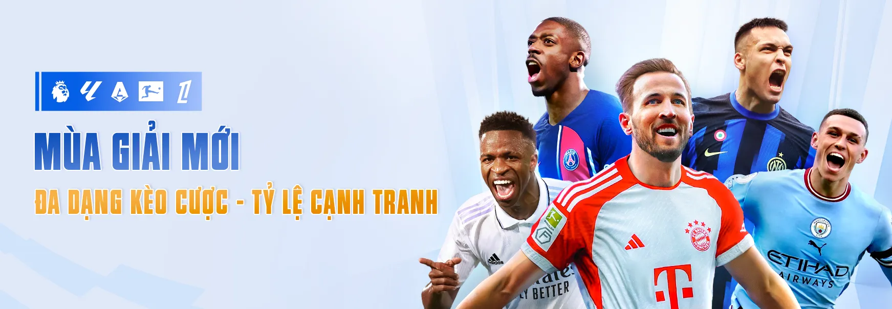 Banner image