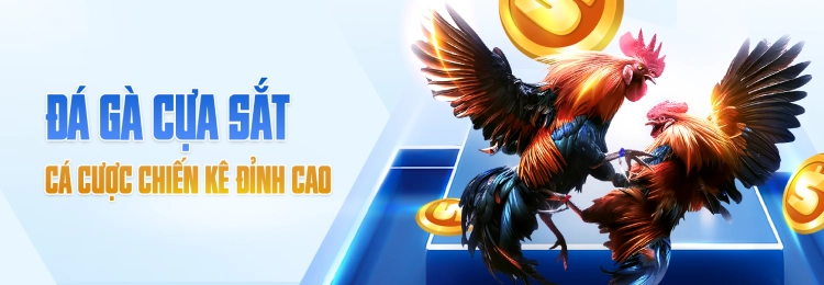 Banner image