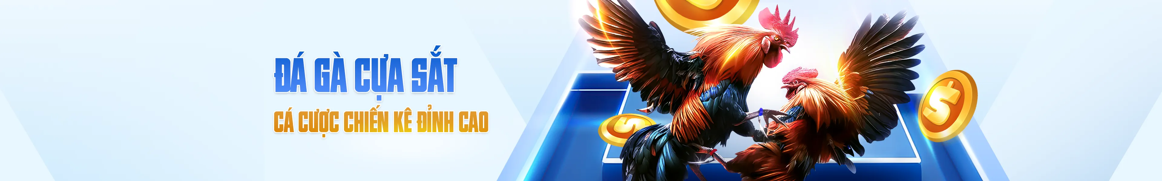 Banner image