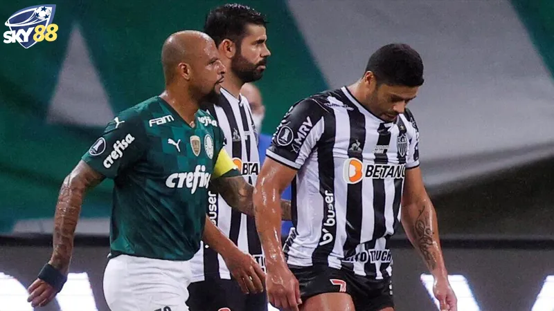 Suc Manh Va Phong Do Cua Palmeiras Vs Atletico Mineiro