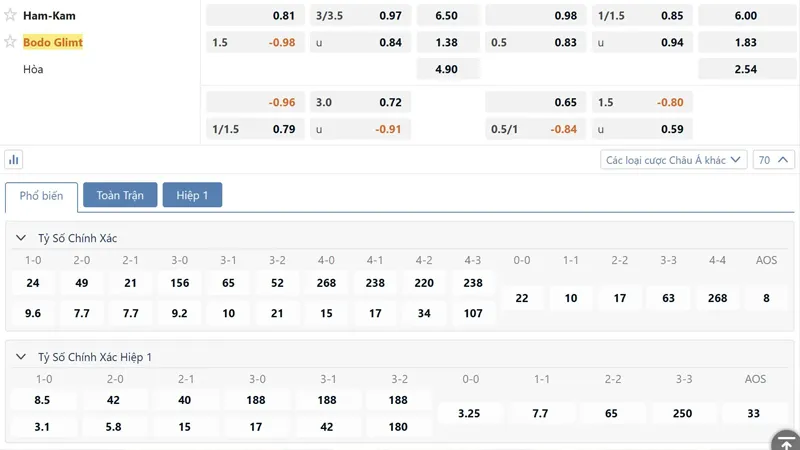 Bang Ty Le Keo Hamkam Vs Bodo Glimt (1)